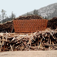 'Artisan Brick Oven Invested' by Diego Parra; courtesy of Diego Parra