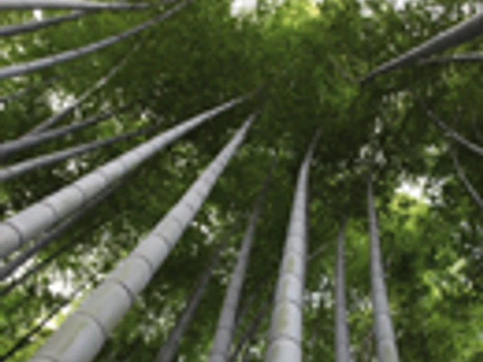 Leggi la storia Engineered Nature: materials made to perform