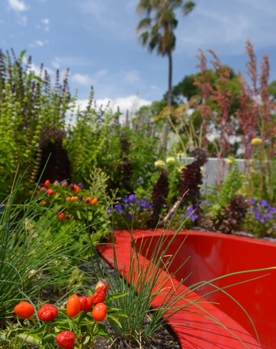 Burnley Living Roofs at the University of Melbourne’s Burnley Campus, co-designed by multidisciplinary practice Hassell and the university’s green-roof technology academics, researches the benefits of green roofs in cities