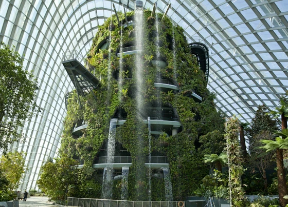 Top: A view of the Supertrees at Singapore's Gardens by the Bay. These 50-metre-high structures provide shade and frames for plants to grow on. Above: Vertical planting inside a conservatory, which also houses a continuously flowering meadow and waterfall