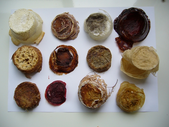 Experimentation is the name of the game at Beat Karrer's Zurich studio. 'If you have a new material,' asks Karrer, 'what can you do with it? How can you get added value out of it?’