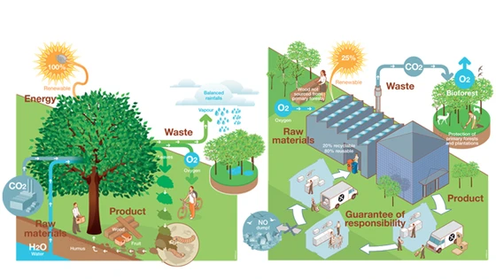 Valcucine has adopted the tree ('a natural factory', as the company puts it) as aspirational metaphor for zero-waste production, something the brand is continuously moving towards