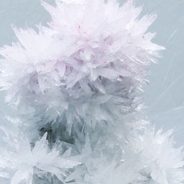 Read story Tokujin Yoshioka crystallises dreams