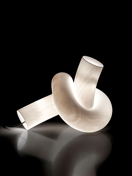 Technical: Knot (2013) is produced by means of new 3D printing technology