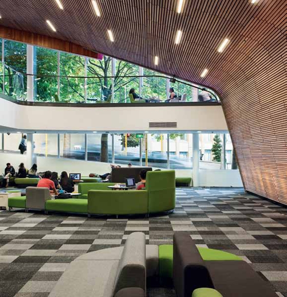 A cave-like study space is created below the raking main lecture theatre