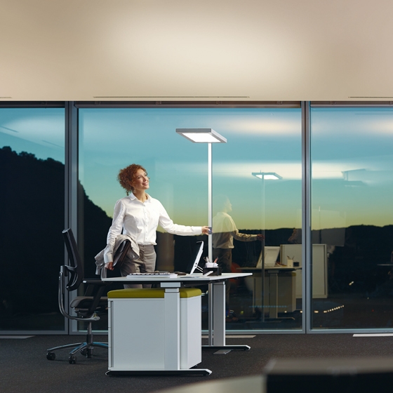PULSE VTL — In the evening