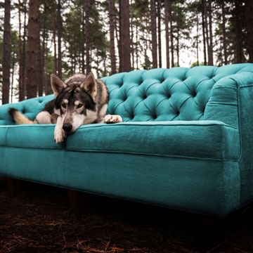 Lire l’histoire Fresh inspiration for hotel design at Sleep 2015