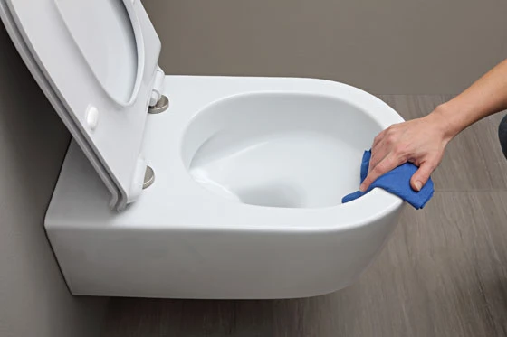 Das unauffällige Design von Link ermöglicht leichtes Wischen und Säubern, vergleichbar mit dem eines Waschbeckens. Das goclean System ist darüberhinaus entwickelt worden, um Spritzen zu verhindern