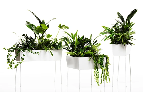 Green Pedestals for OFFECCT, 2011