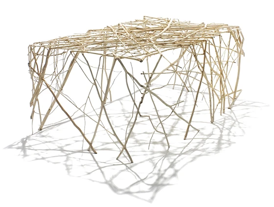 Table designed by pressure, using branches under high pressure (Limited Edition), 2011