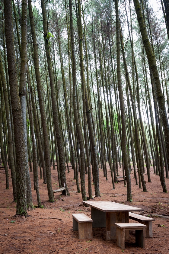 Out in the open and on the table: Indonesia-based brand Karpenter's environmental credentials are underscored by its brand slogan – 'Designed by us, defined by nature'