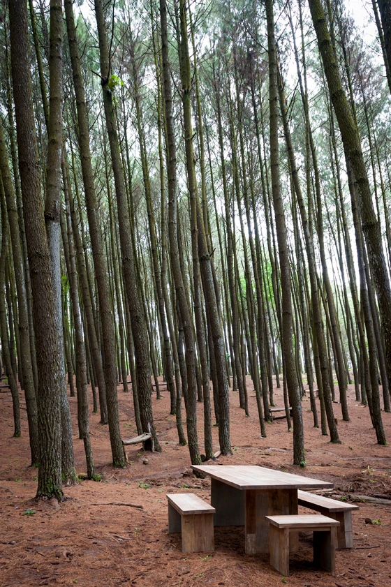 Out in the open and on the table: Indonesia-based brand Karpenter's environmental credentials are underscored by its brand slogan – 'Designed by us, defined by nature'