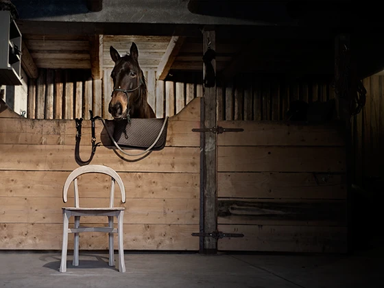 <b>Gala</b> chair for Produzione Privata, 2015 - Photo © aMDL