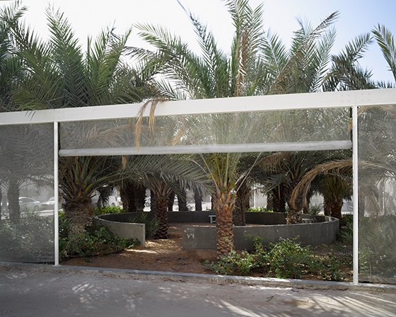 Oasis. Sharjah, United Arab Emirates, 2013