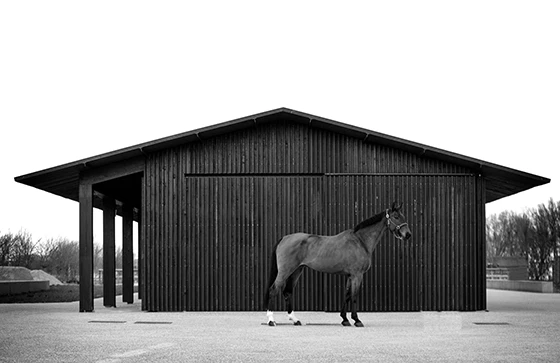 Material Tendencies: Vincent van Duysen | Architonic