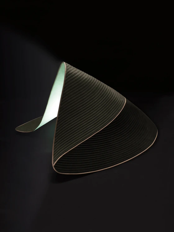 Carpetghost by Dante