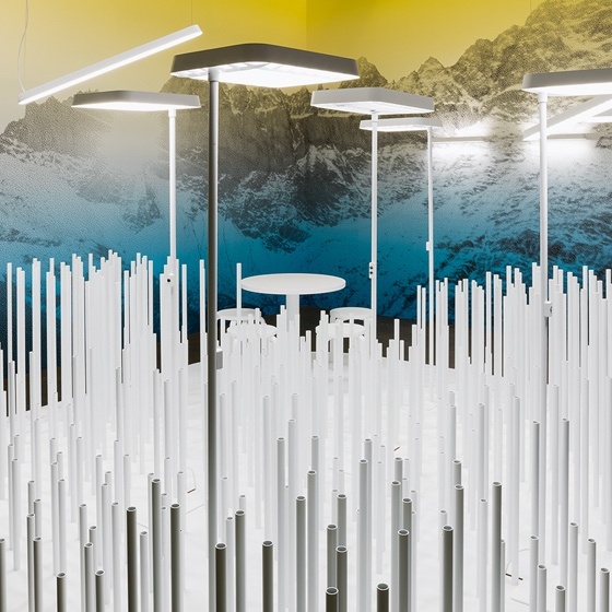 Erfahre mehr über die Geschichte Wohlgeformt