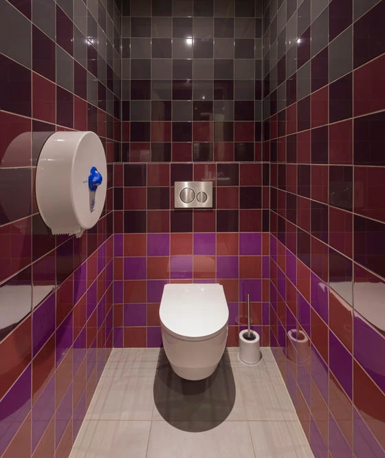 After transformation of the toilets from restaurant UMAMI Maastricht