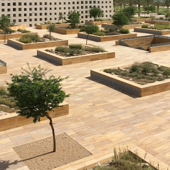 Lees storie The Constant Gardener: Petra Blaisse
