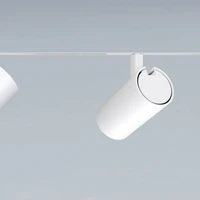 The reworked series wittenberg 4.0 is striking for its more compact design without visible screws or wires, and its lamp head with a large light-emitting surface that is well-shielded to prevent glare