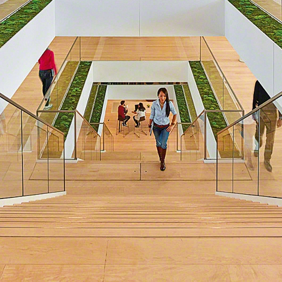 Lire l’histoire The future of work is creative