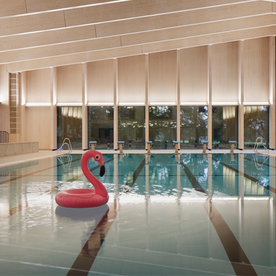 Leer la historia In the swim of things: new swimming pools