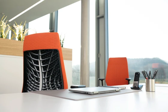 Kreativität hat ein Gesicht: JOYCEis3 passt sich ganz dem Sitzenden an – bei jeder Bewegung, aber auch bei der Farbwahl. Zwischen Polsterung oder Netzbezug muss man allerdings nicht mehr wählen – das vereint der neue Softback