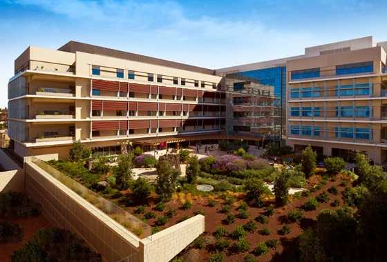 Throughout the Lucile Packard Children’s Hospital Stanford children are given the chance to interact with nature, whether through themed artwork or garden areas. Photographer: Emily Hagopian (top); Vittoria Zupicich (middle); Steve Babuljak (above)