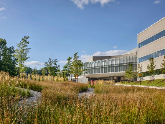 Memorial Sloan Kettering Monmouth was designed using evidence-based principles, calling for the integration of nature and natural light to foster a better patient experience. Photos: Halkin Mason